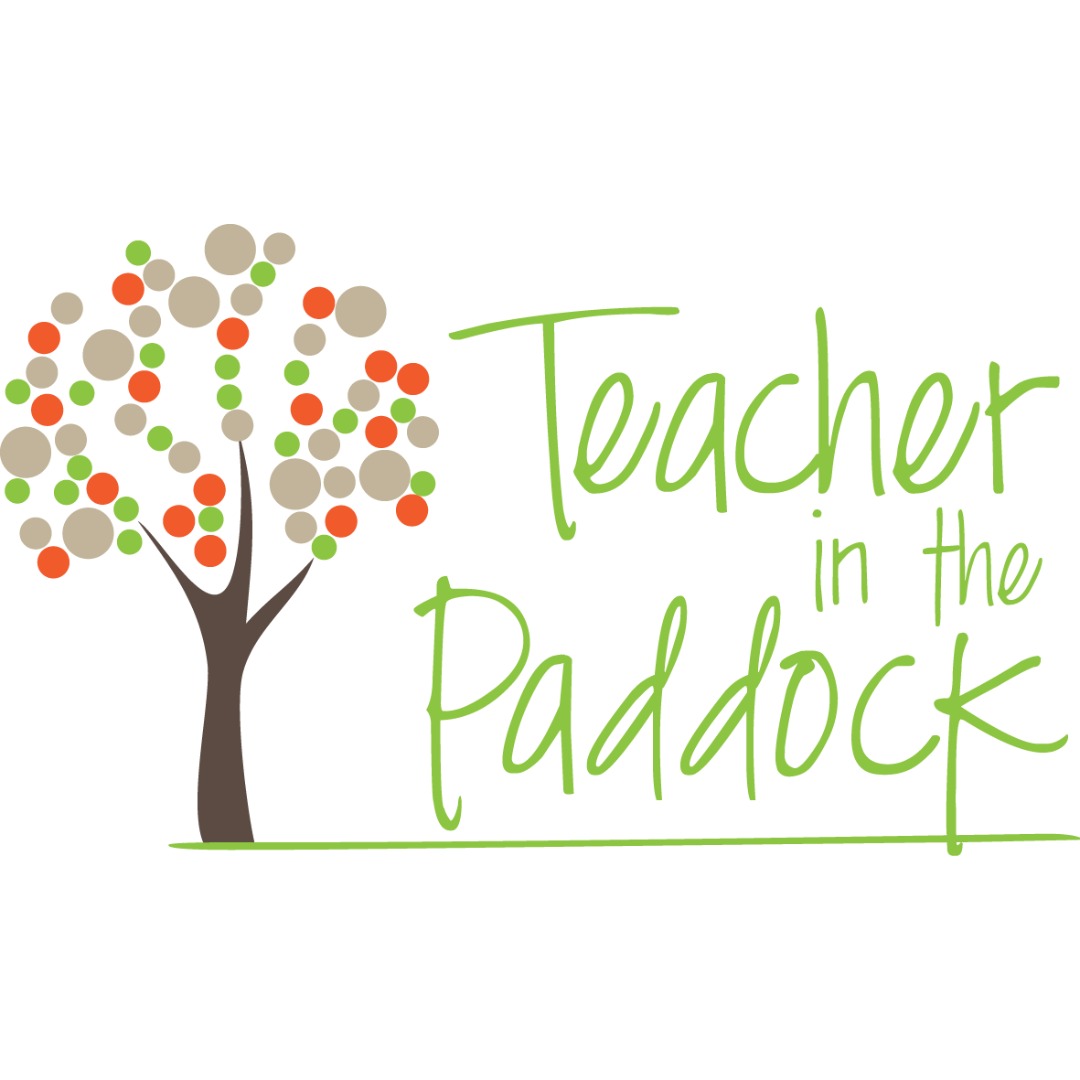 Teacher in the Paddock